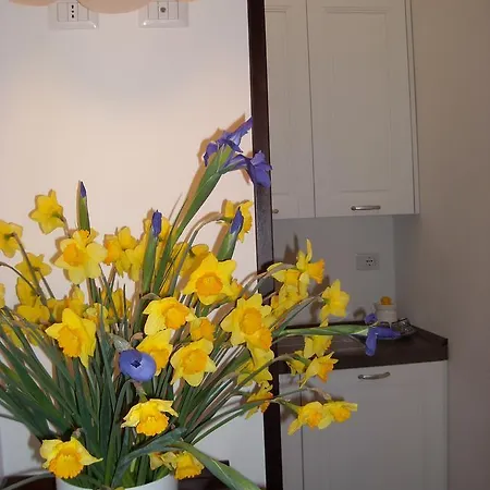Appartement Casa Gigli - Arts *